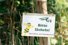 IMG_5928-2-CR3_DxO_DeepPRIME